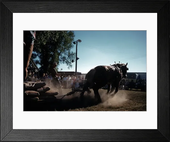 Framed Print : RAPID CITY RODEO Framed Print : RAPID CITY RODEO
