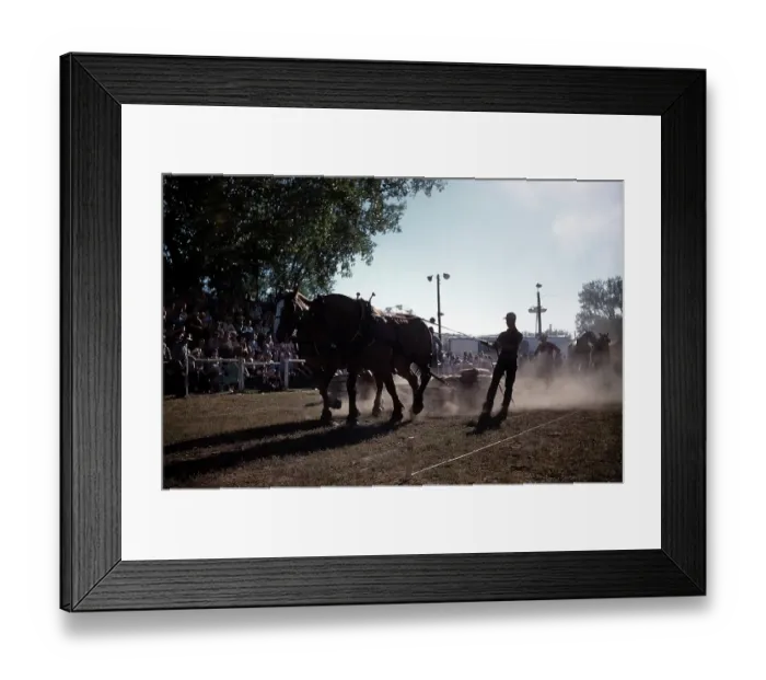 Framed Print : RAPID CITY RODEO Framed Print : RAPID CITY RODEO
