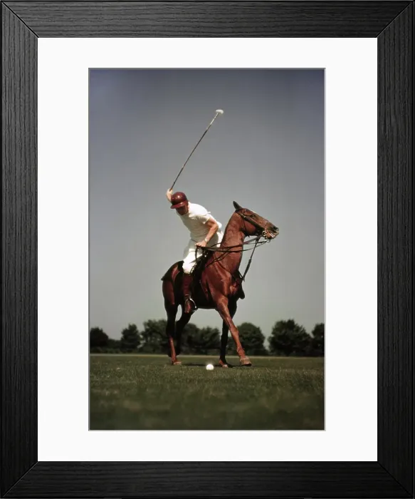 Framed Print : PONY CLUB. UNIONVILLE, PA - CIRCA 1958: A rider swings his polo mallet Framed Print : PONY CLUB. UNIONVILLE, PA - CIRCA 1958: A rider swings his polo mallet