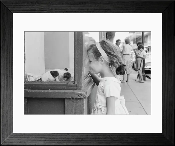 Framed Print : New Orleans Puppy Framed Print : New Orleans Puppy