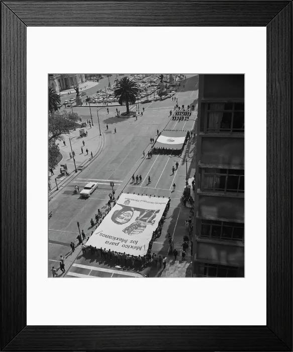 Framed Print : Mexico For The Mexicans