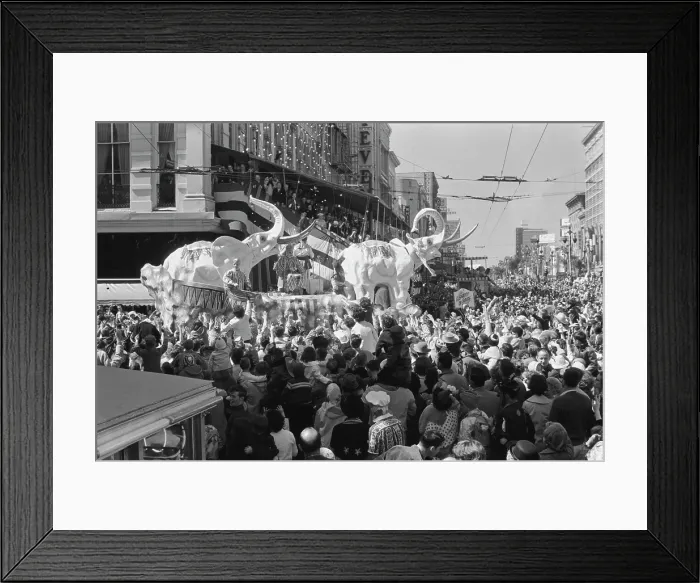 Framed Print : New Orleans Mardi Gras Framed Print : New Orleans Mardi Gras