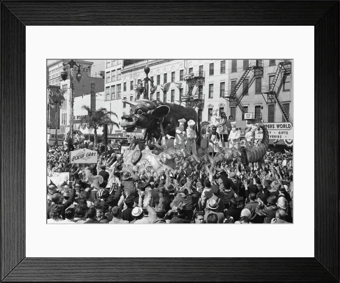 Framed Print : New Orleans Mardi Gras Framed Print : New Orleans Mardi Gras