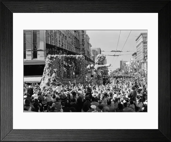 Framed Print : New Orleans Mardi Gras Framed Print : New Orleans Mardi Gras