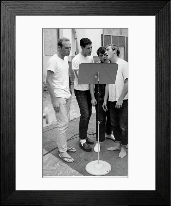 Framed Print : Beach Boys Singing Framed Print : Beach Boys Singing