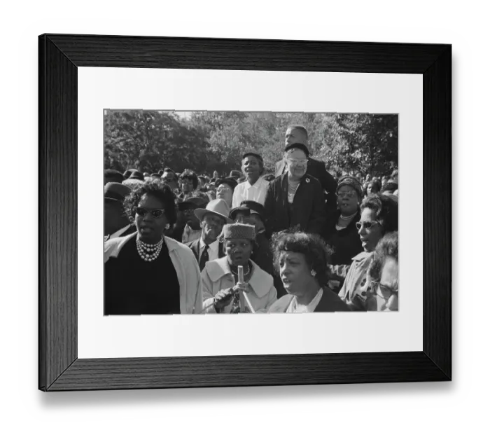 Framed Print : Washington Protest Framed Print : Washington Protest