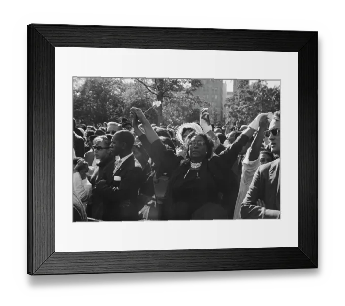 Framed Print : Washington Protest