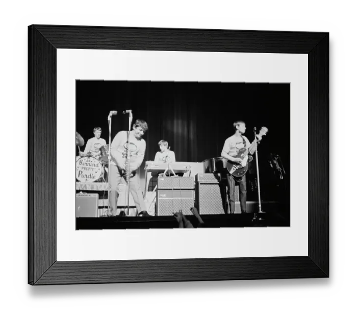 Framed Print : The Animals Framed Print : The Animals