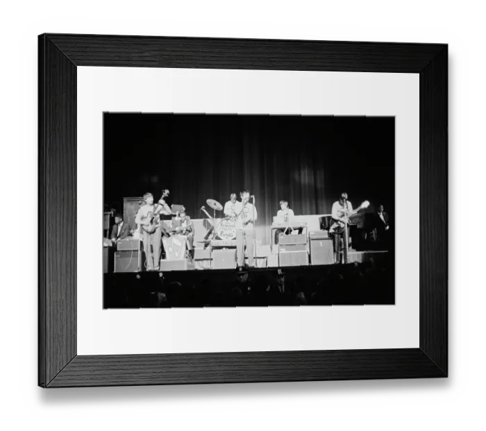 Framed Print : The Animals Framed Print : The Animals