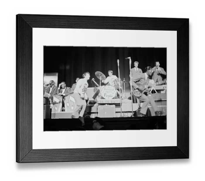 Framed Print : The Animals With Chuck Berry