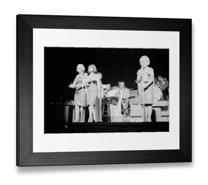 Framed Print : The Rag Dolls Framed Print : The Rag Dolls