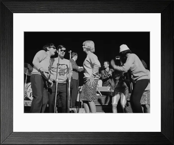 Framed Print : The Animals Framed Print : The Animals