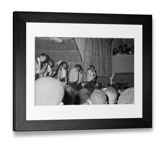 Framed Print : Farewell Magnificent Framed Print : Farewell Magnificent