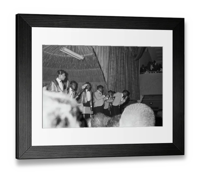 Framed Print : Farewell Magnificent Framed Print : Farewell Magnificent