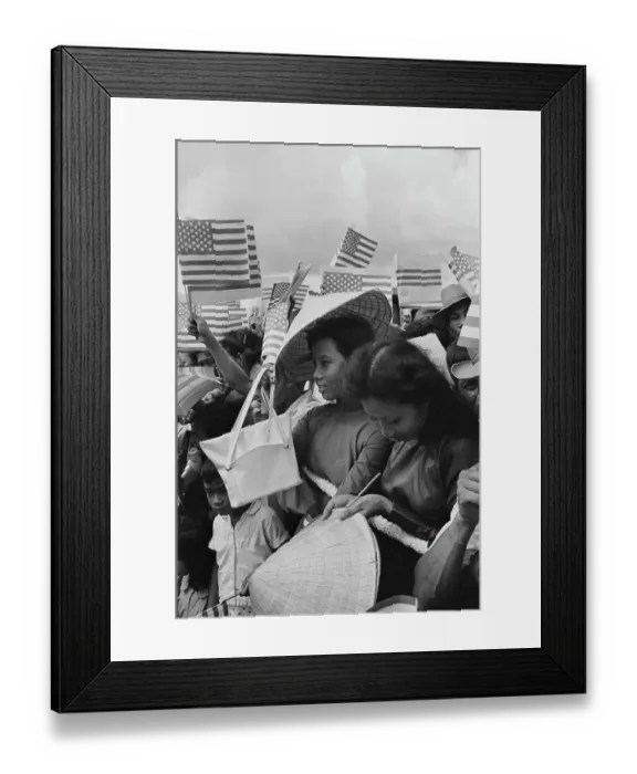 Framed Print : Henry Cabot Lodge Jr. Leaves Framed Print : Henry Cabot Lodge Jr. Leaves