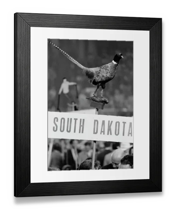 Framed Print : Republican National Convention Framed Print : Republican National Convention