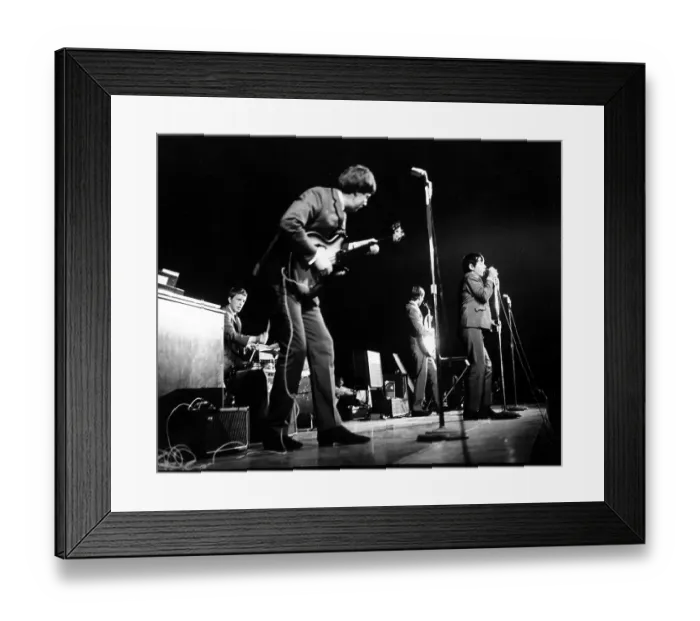 Framed Print : The Animals In NYC Framed Print : The Animals In NYC