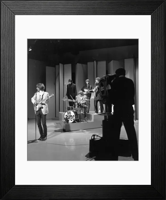 Framed Print : Photo of Byrds Framed Print : Photo of Byrds