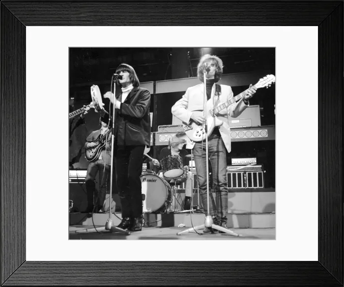 Framed Print : Photo of Byrds Framed Print : Photo of Byrds