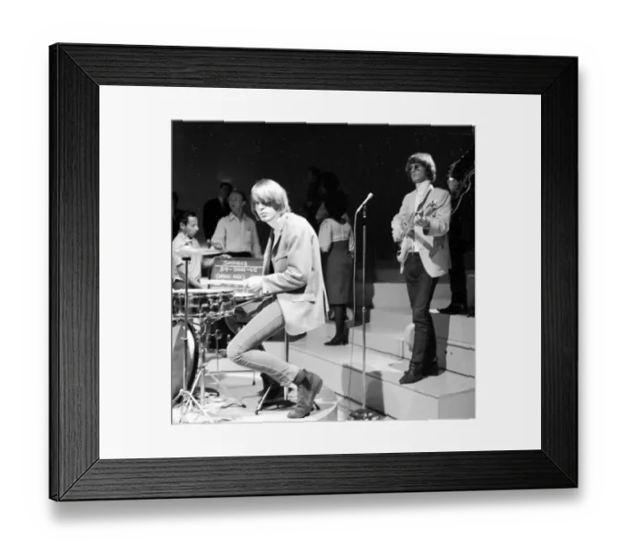 Framed Print : Photo of Byrds Framed Print : Photo of Byrds