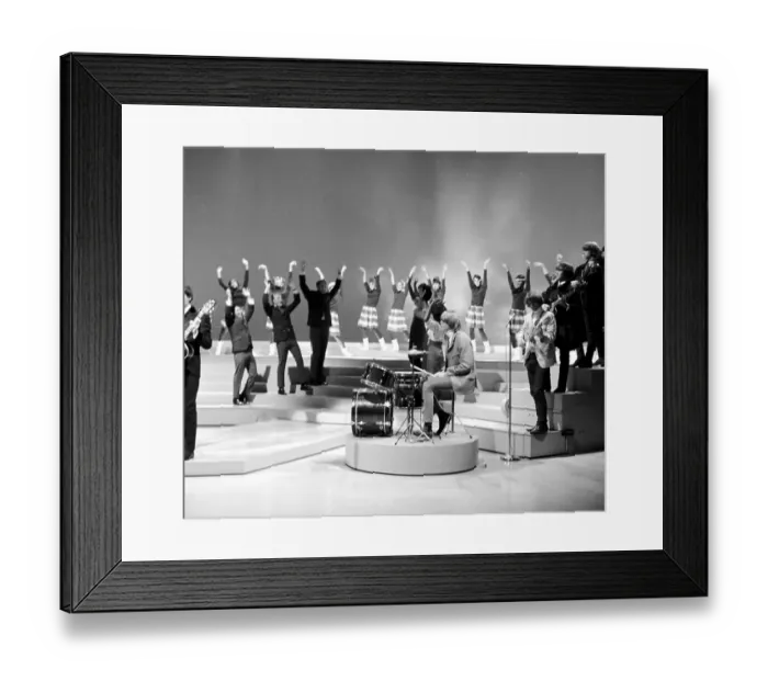 Framed Print : Photo of Byrds Framed Print : Photo of Byrds