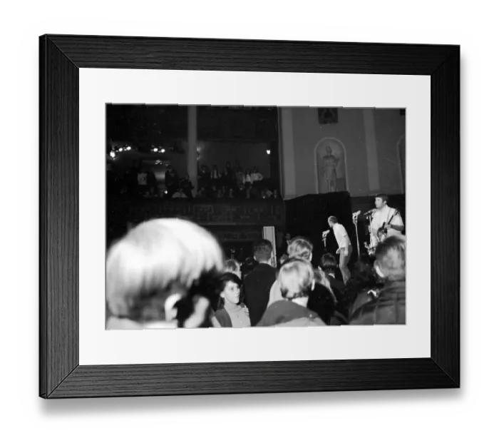 Framed Print : Beach Boys Performing Framed Print : Beach Boys Performing