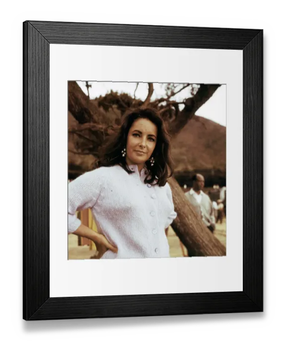 Framed Print : The Sandpiper Movie Set Framed Print : The Sandpiper Movie Set