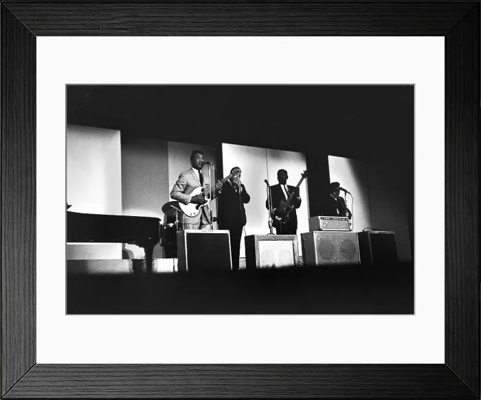 Framed Print : Muddy Waters At The New York Folk Festival Framed Print : Muddy Waters At The New York Folk Festival