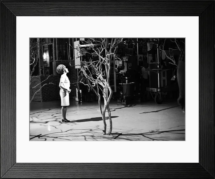 Framed Print : Brenda Lee On Hullabaloo Framed Print : Brenda Lee On Hullabaloo