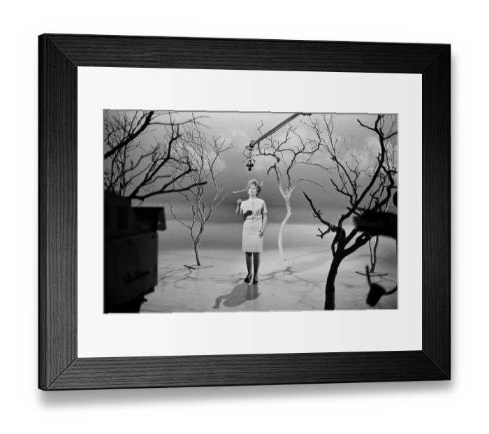 Framed Print : Brenda Lee On Hullabaloo Framed Print : Brenda Lee On Hullabaloo