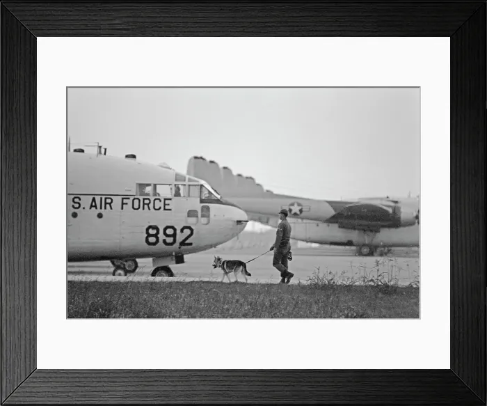 Framed Print : US Military German Shepherd Sentry Training Framed Print : US Military German Shepherd Sentry Training