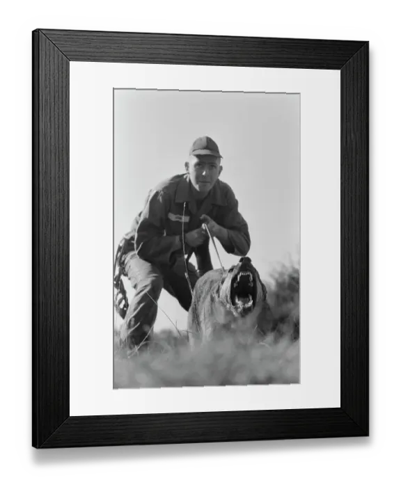 Framed Print : US Military German Shepherd Sentry Training Framed Print : US Military German Shepherd Sentry Training