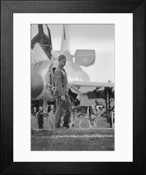 Framed Print : US Military German Shepherd Sentry Training Framed Print : US Military German Shepherd Sentry Training