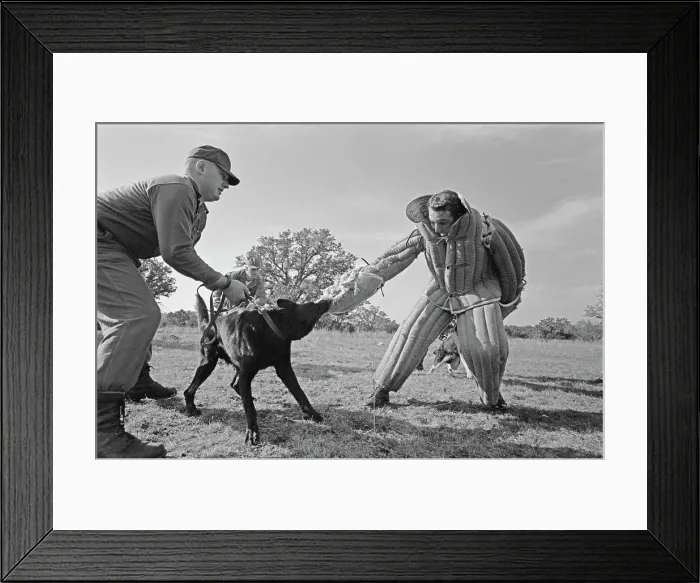 Framed Print : US Military German Shepherd Sentry Training Framed Print : US Military German Shepherd Sentry Training