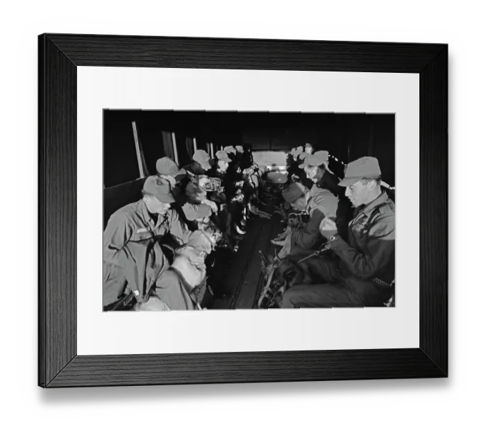 Framed Print : US Military German Shepherd Sentry Training Framed Print : US Military German Shepherd Sentry Training