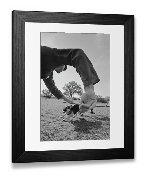 Framed Print : US Military German Shepherd Sentry Training Framed Print : US Military German Shepherd Sentry Training