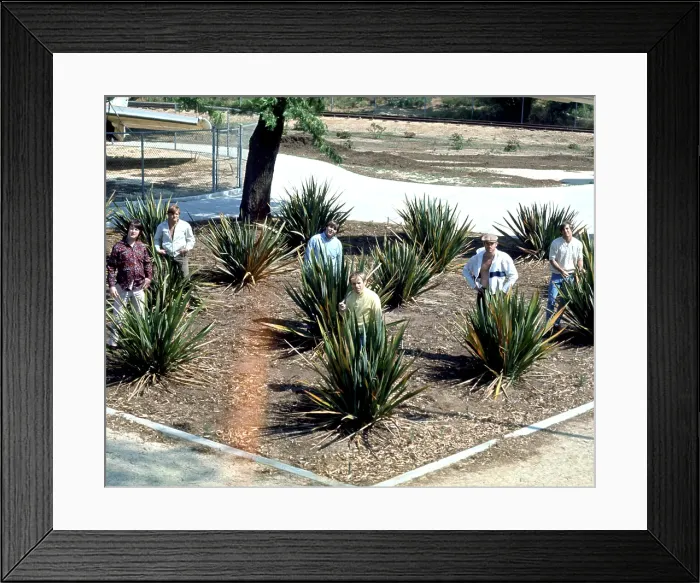 Framed Print : Beach Boys With Bruce Johnston Framed Print : Beach Boys With Bruce Johnston