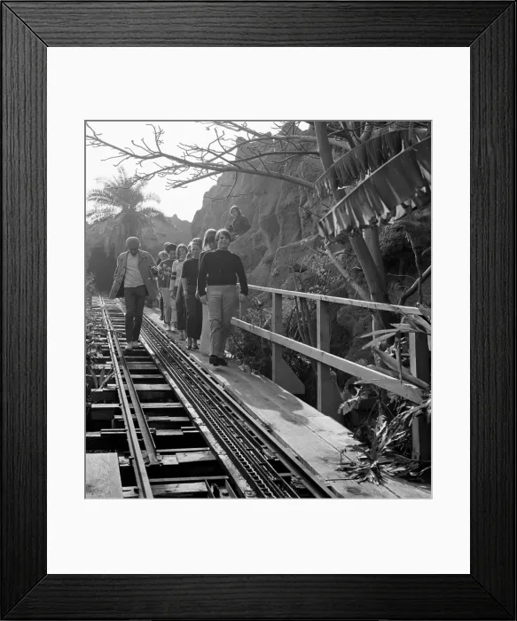 Framed Print : Beach Boys At Pacific Ocean Park With Fans Framed Print : Beach Boys At Pacific Ocean Park With Fans