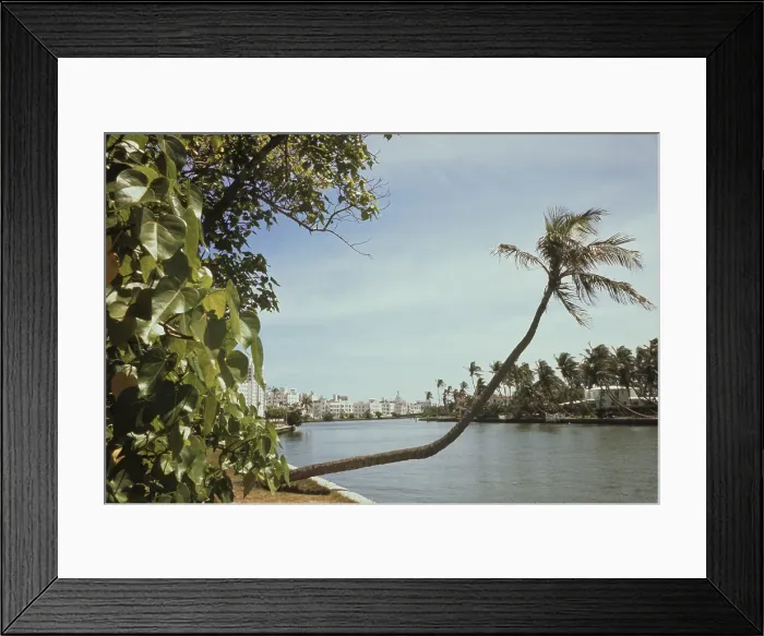 Framed Print : Miami Beach Framed Print : Miami Beach