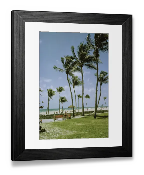 Framed Print : Miami Beach