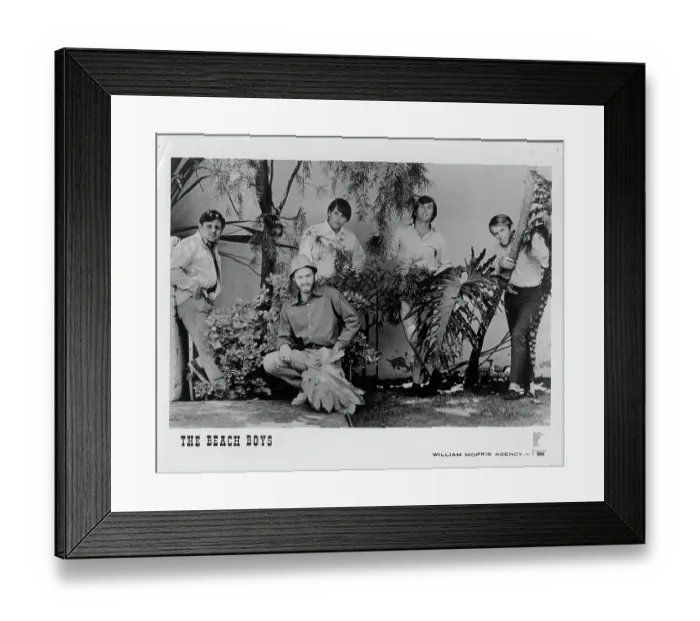 Framed Print : Beach Boys Portrait Framed Print : Beach Boys Portrait