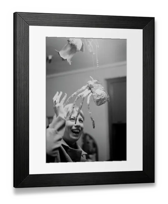 Framed Print : Boris The Spider Framed Print : Boris The Spider