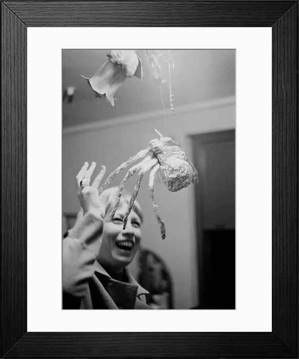 Framed Print : Boris The Spider Framed Print : Boris The Spider