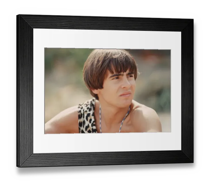 Framed Print : Davy Jones Of The Monkees