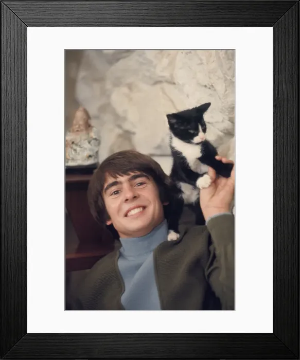 Framed Print : Davy Jones Of The Monkees Framed Print : Davy Jones Of The Monkees