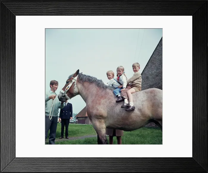 Framed Print : Belgian Royals On Holiday Framed Print : Belgian Royals On Holiday