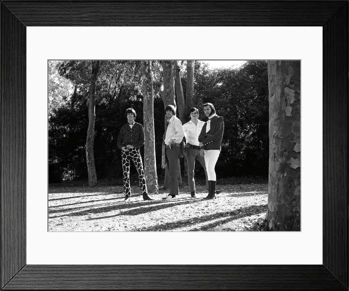 Framed Print : Sky Saxon And The Seeds Portrait