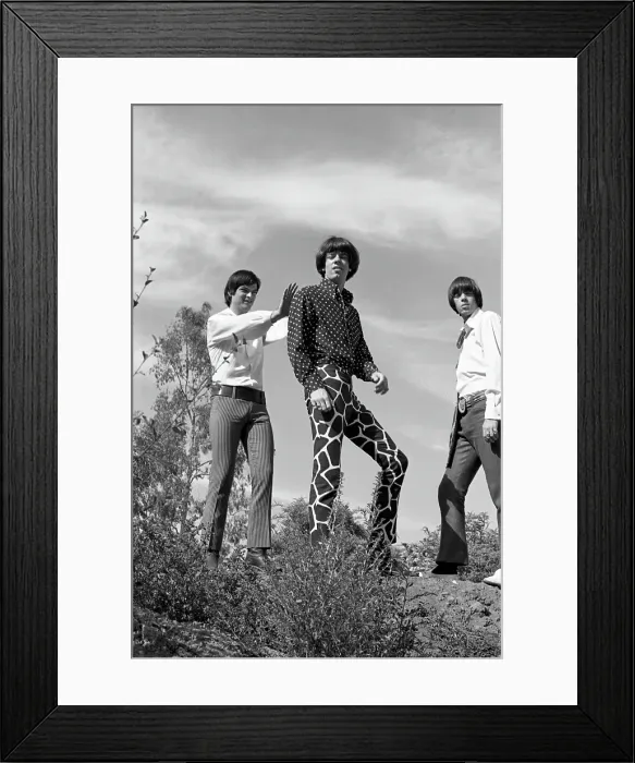 Framed Print : Sky Saxon And The Seeds Portrait Framed Print : Sky Saxon And The Seeds Portrait