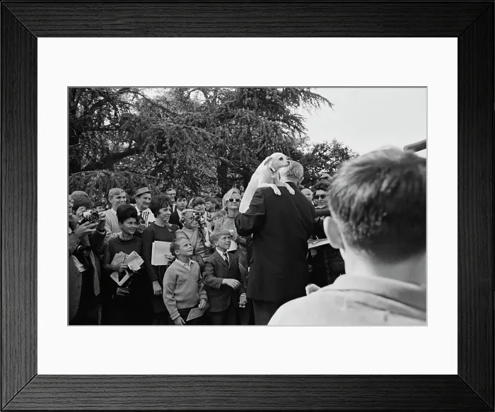 Framed Print : Johnson's Country Fair Framed Print : Johnson's Country Fair