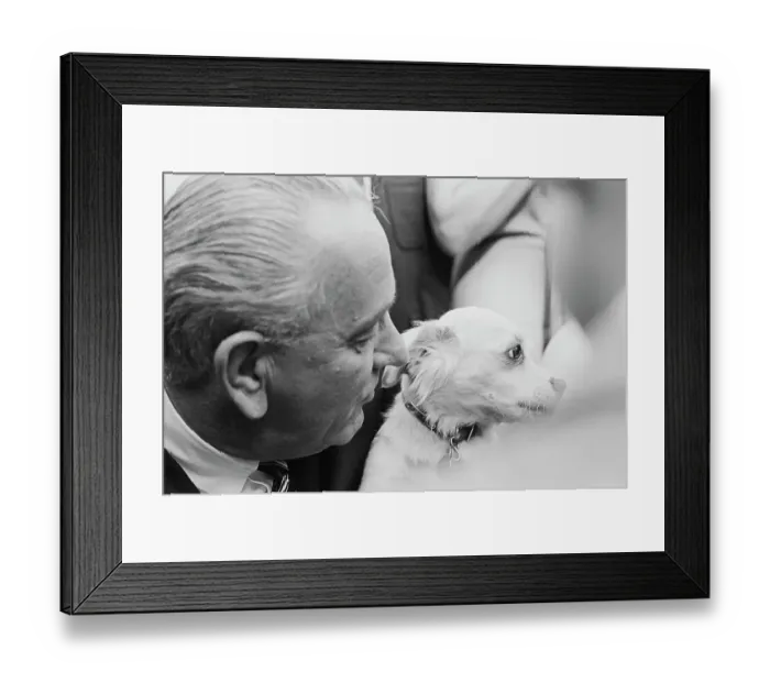Framed Print : Johnson's Country Fair Framed Print : Johnson's Country Fair